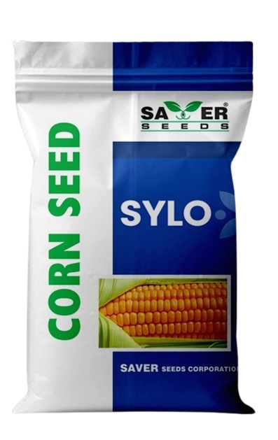 1237656236SYLO.jpg