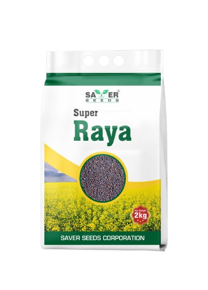 203969147Raya_Seed-Png.png